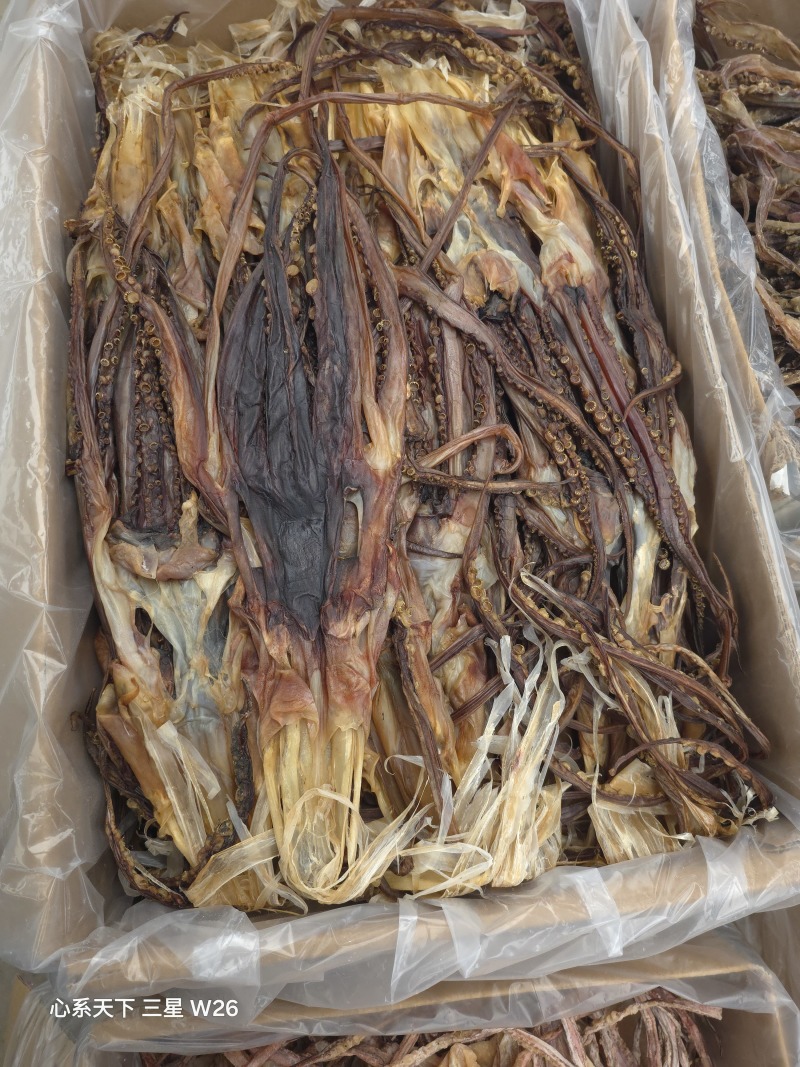 鱿鱼丝鱿鱼生丝质量好价格优惠欢迎咨询