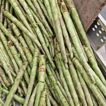 莴苣杆子莴笋杆子青皮莴苣杆子莴苣肉江苏莴苣杆子