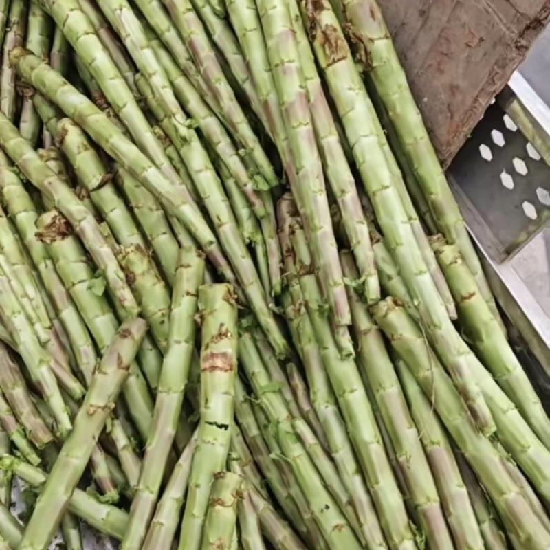 莴苣杆子莴笋杆子青皮莴苣杆子莴苣肉江苏莴苣杆子