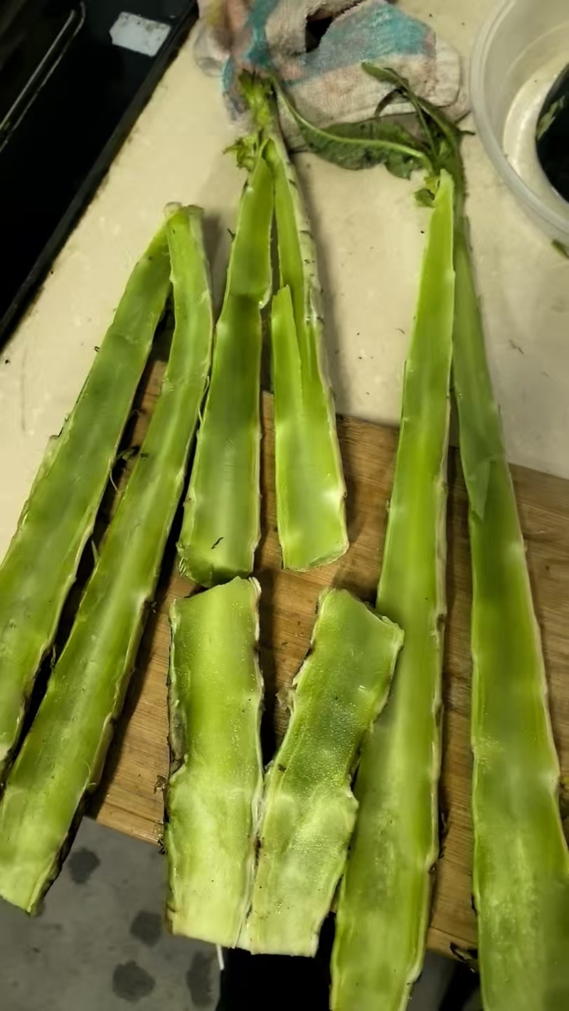 莴苣杆子莴笋杆子青皮莴苣杆子莴苣肉江苏莴苣杆子