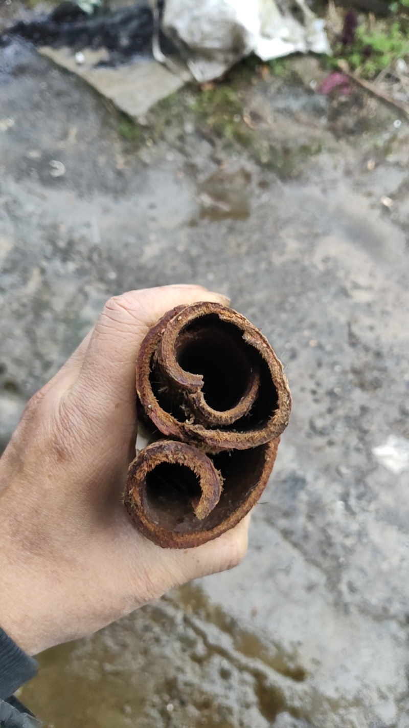 恩施紫油厚朴高含量出口个子，厚朴丝，去皮丝全规格