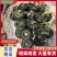 贝贝云南高原贝贝瓜这里早晚温差大，种出来的贝贝瓜糯可口