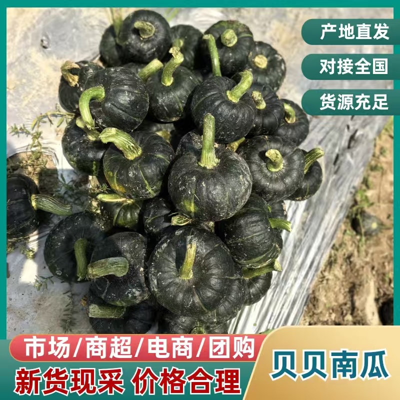 贝贝云南高原贝贝瓜这里早晚温差大，种出来的贝贝瓜糯可口