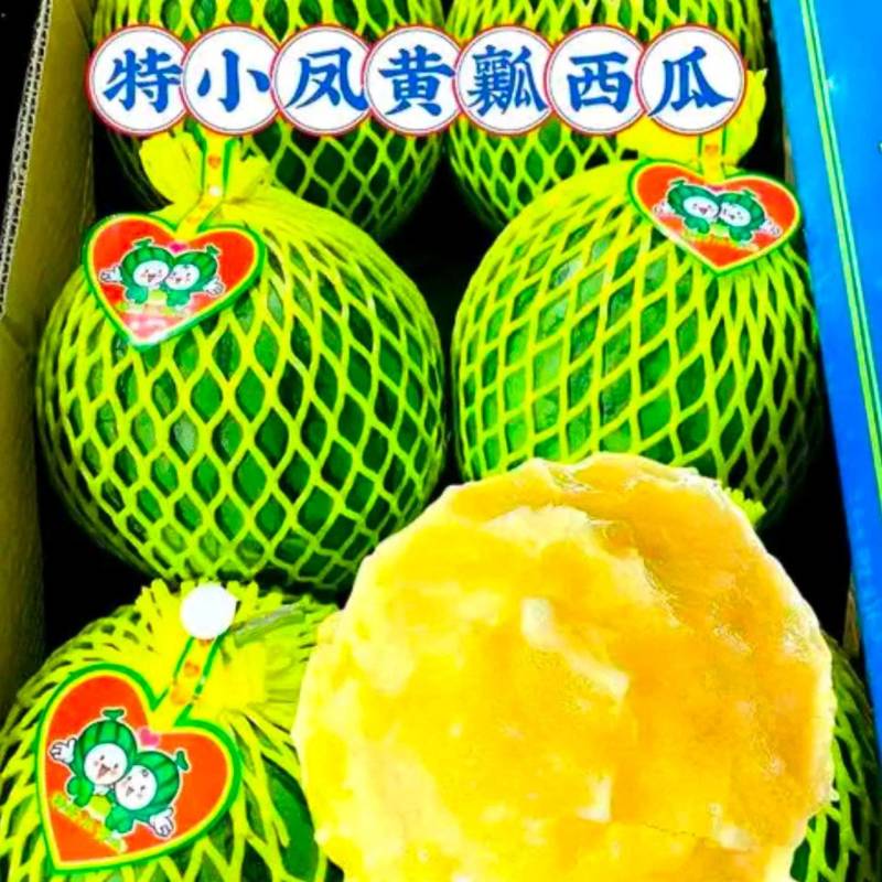 海南乐东特小凤西瓜台农种植黄肉西瓜高糖度欢迎品尝