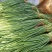 山东商河蒜薹红帽蒜薹基地一手货源价格实惠欢迎联系