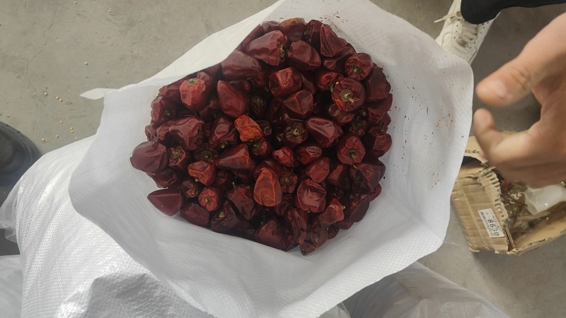 河南干辣椒灯笼椒厂家直发视频看货量大优惠