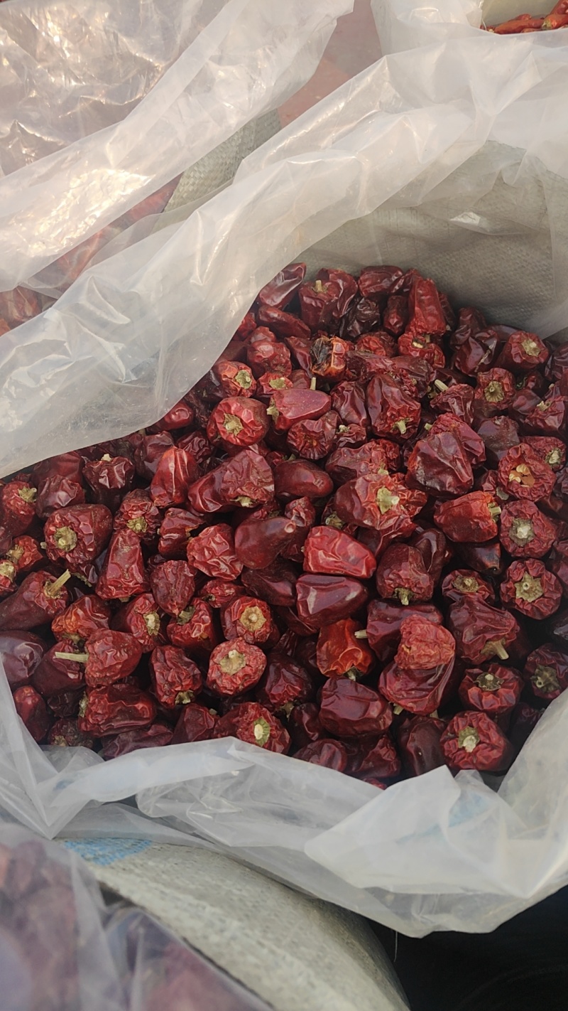 河南干辣椒灯笼椒厂家直发视频看货量大优惠