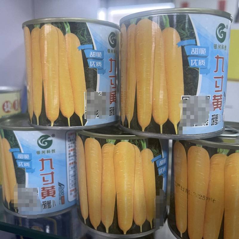 精品九寸黄胡萝卜种子生吃水果萝卜种籽齐头黄高产春秋季蔬菜种子