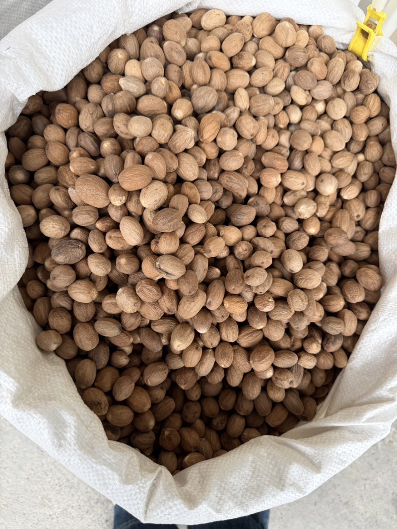 玉果肉豆蔻今年新货个头大无虫眼沉水果