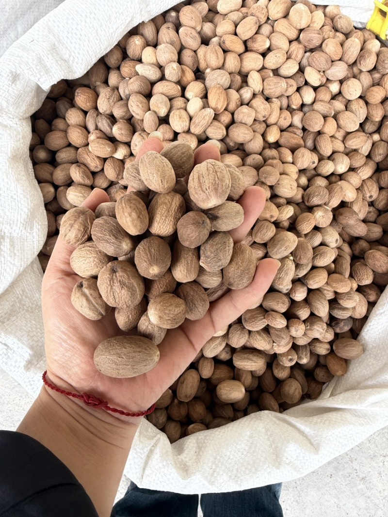 玉果肉豆蔻今年新货个头大无虫眼沉水果