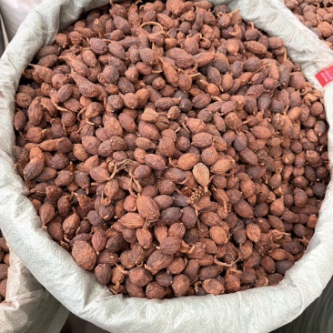 云南草果，新货颜色好，一手货源