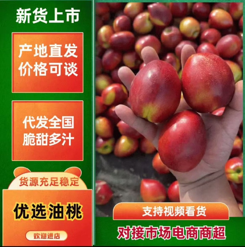 山东冠县现摘中油油桃当季水果大量供应
