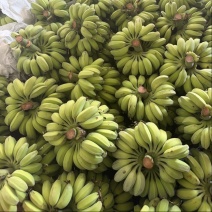 苹果蕉一件代发源头产地直发日发2万斤➕能力