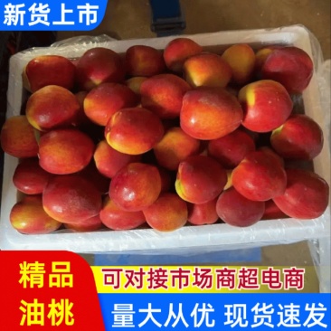 山东冠县现摘中油油桃当季水果大量供应