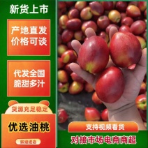 山东中油桃大量上市沙土地种植口感脆甜