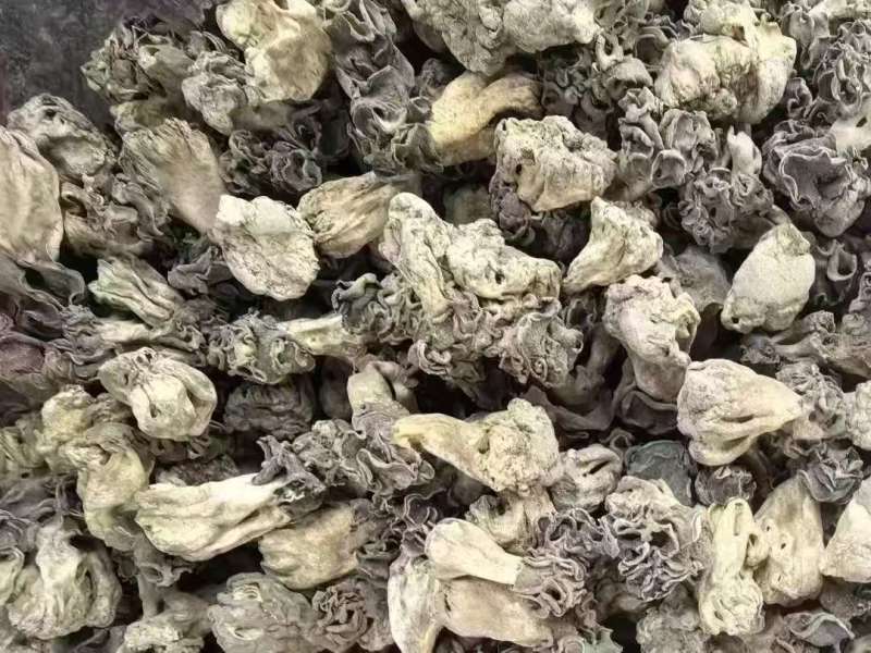 精品野生胡杨胡干货质量保证量大从优质量保证欢迎咨询