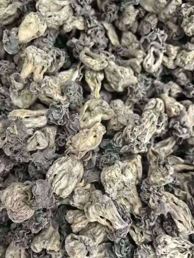 精品野生胡杨胡干货质量保证量大从优质量保证欢迎咨询