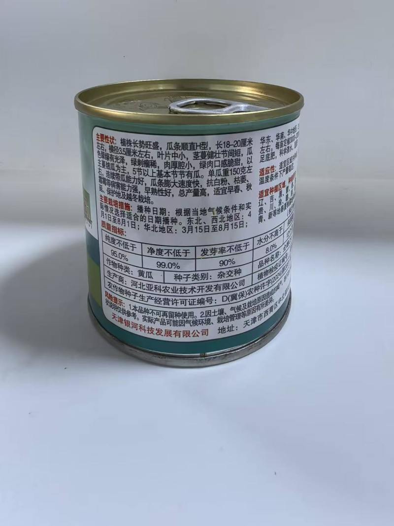 全雌C9号水果黄瓜