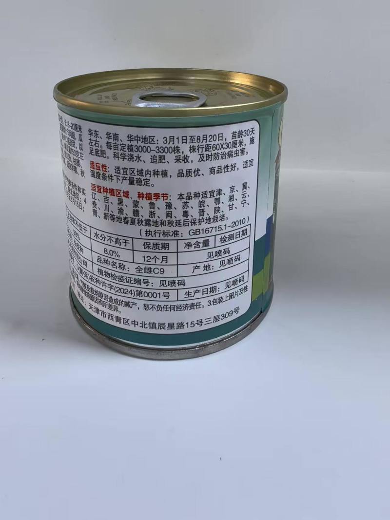 全雌C9号水果黄瓜