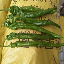 螺丝椒