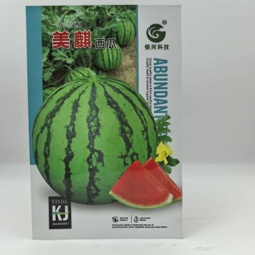 美麒西瓜种子