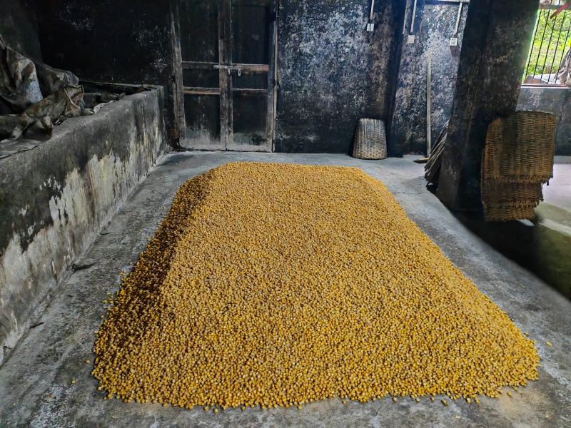隆兴高山角小作坊纯酿白酒货源充足量大从优质量保证