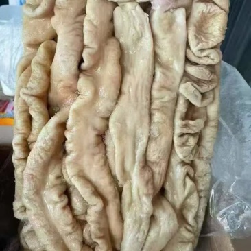 猪大肠可视频看货可地摊商超餐饮现货供应