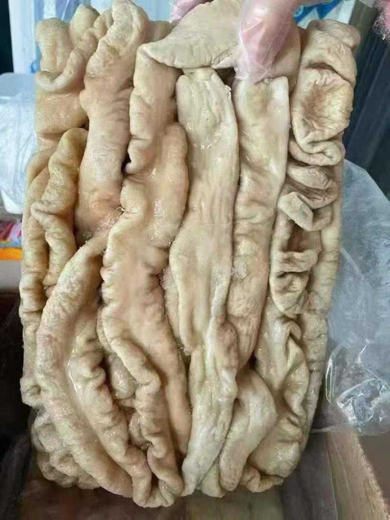 猪大肠可视频看货可地摊商超餐饮现货供应