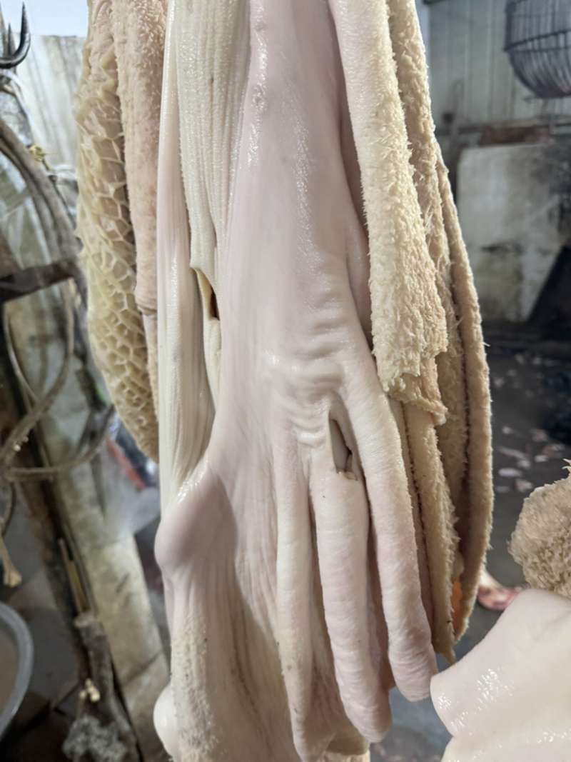 半成品牛肚