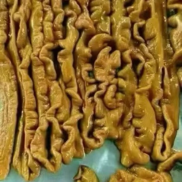 卤肥肠全熟可视频看货可地摊商超餐饮现货供应