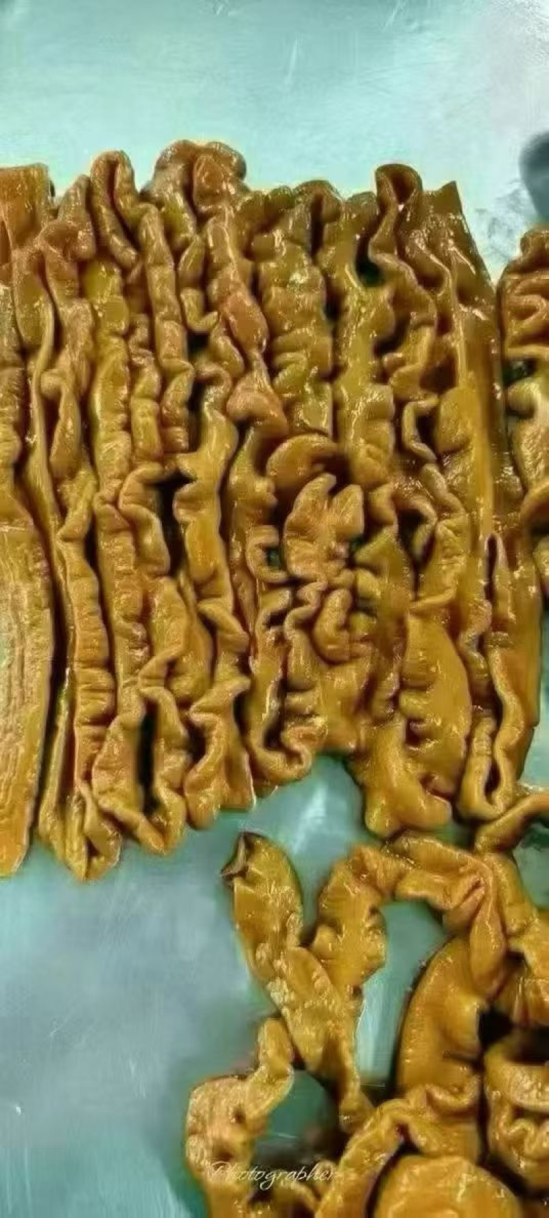 卤肥肠全熟可视频看货可地摊商超餐饮现货供应