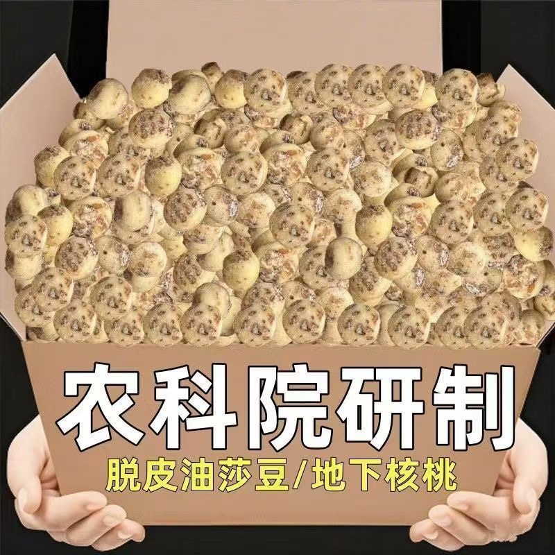 油莎豆，新疆油莎豆，沙漠核桃，油莎豆，虎皮豆，虎皮坚果。