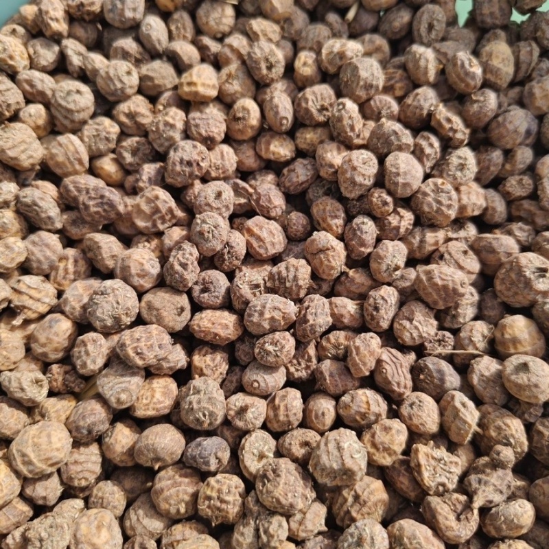 油莎豆，新疆油莎豆，沙漠核桃，油莎豆，虎皮豆，虎皮坚果。