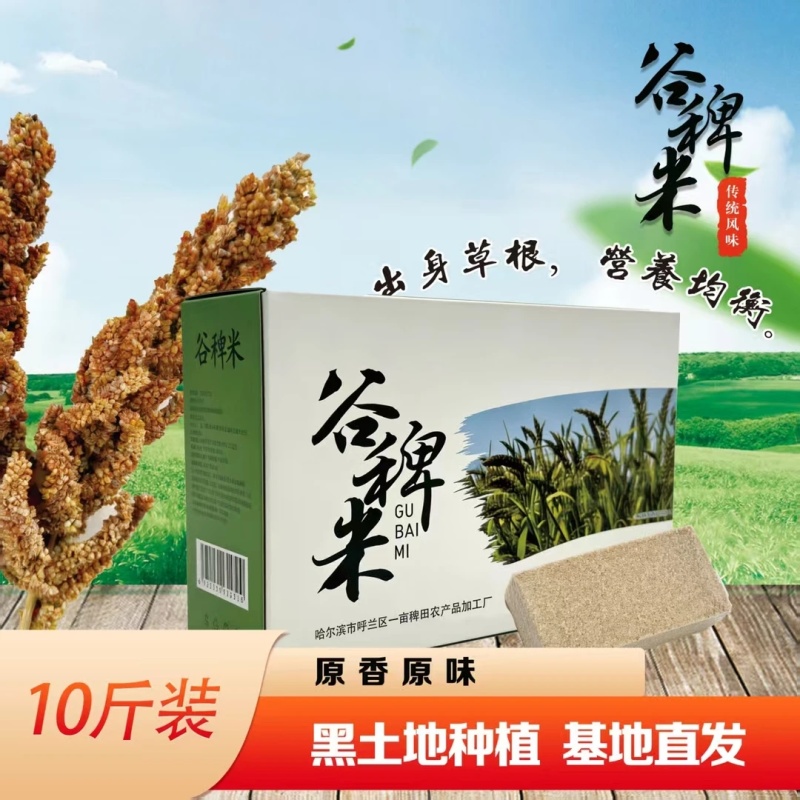 东北特产稗子米