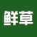 虫草（鲜草，干草）