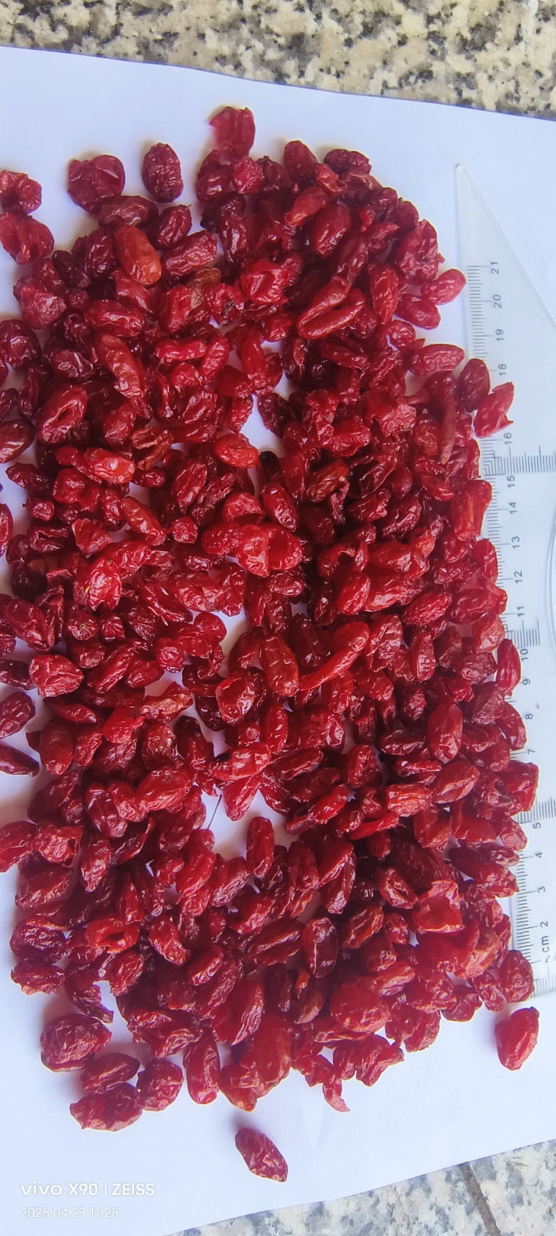 河南山茱萸