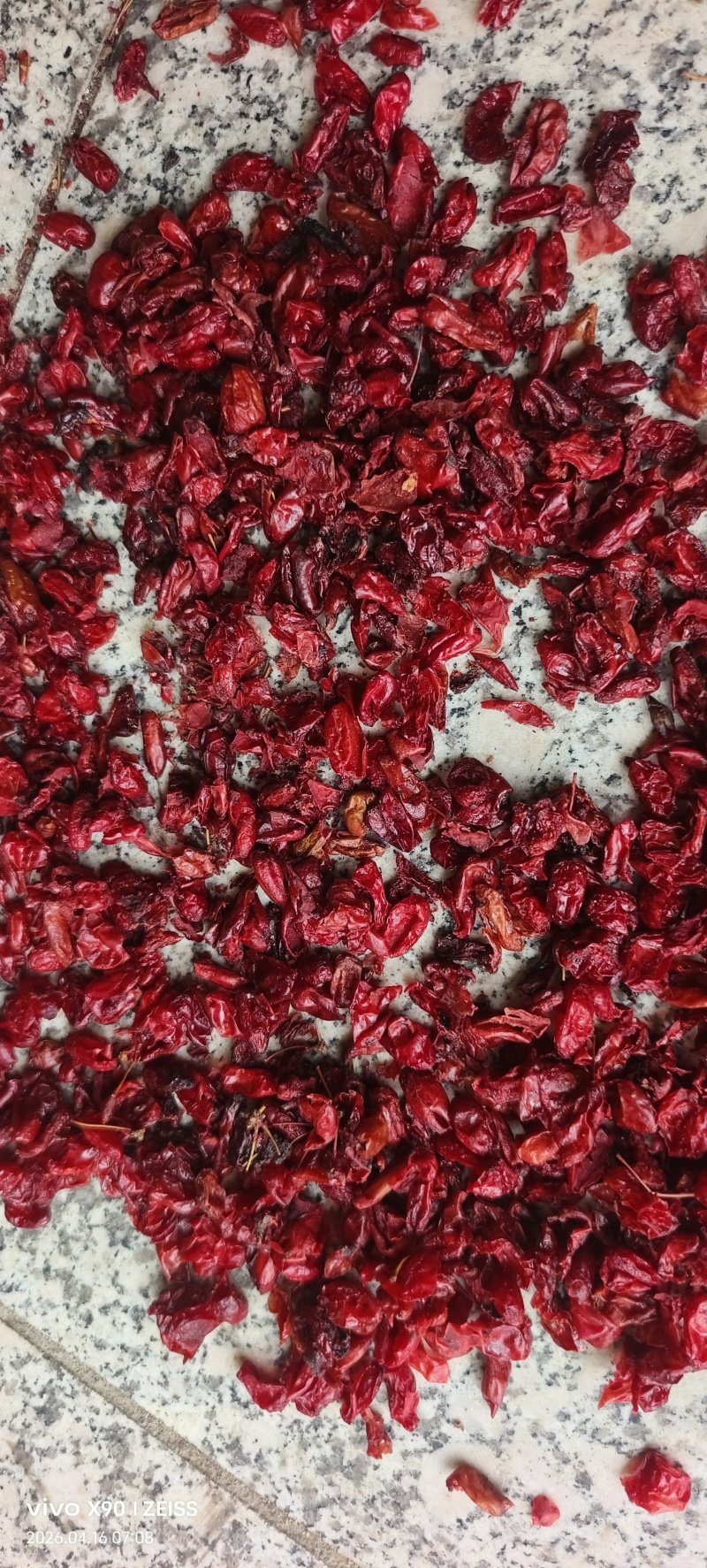 河南山茱萸