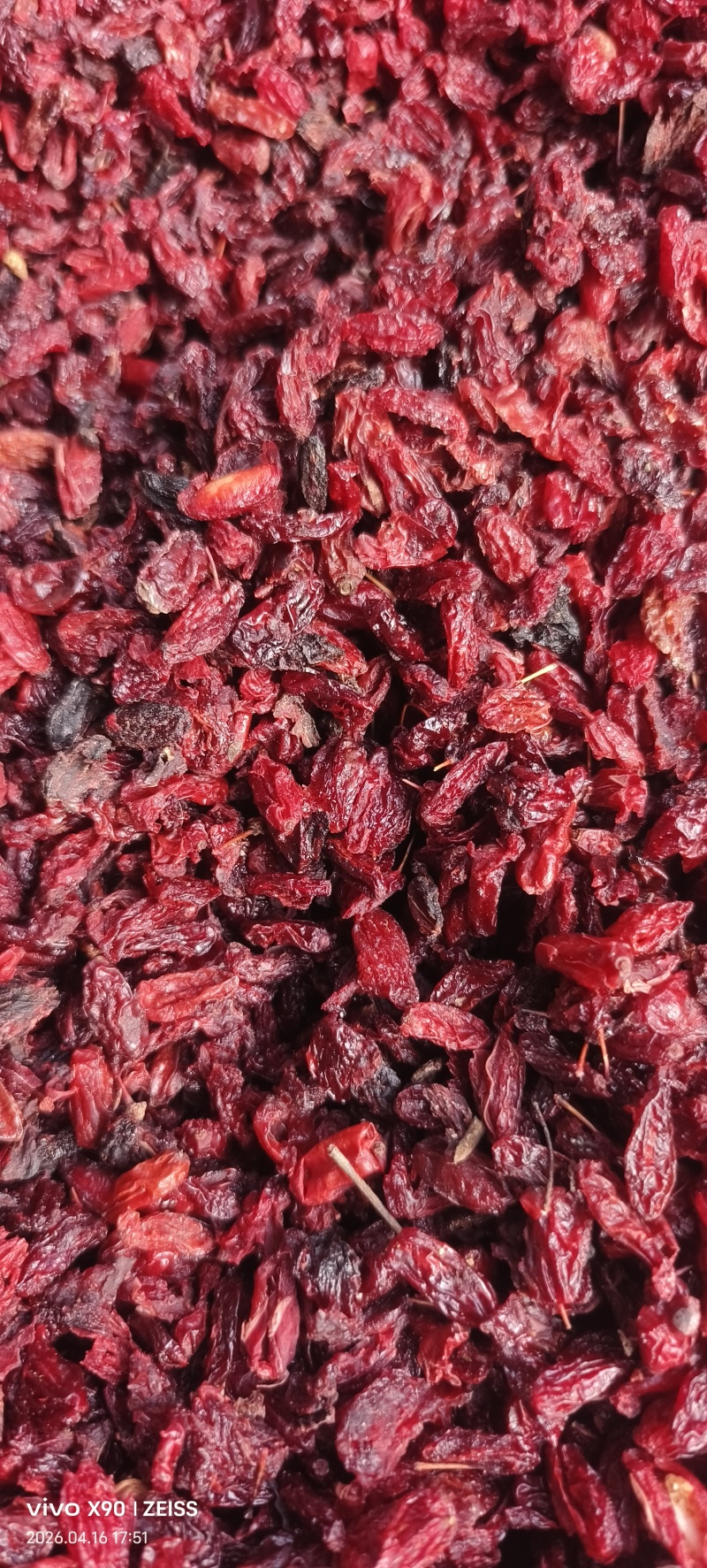 河南山茱萸