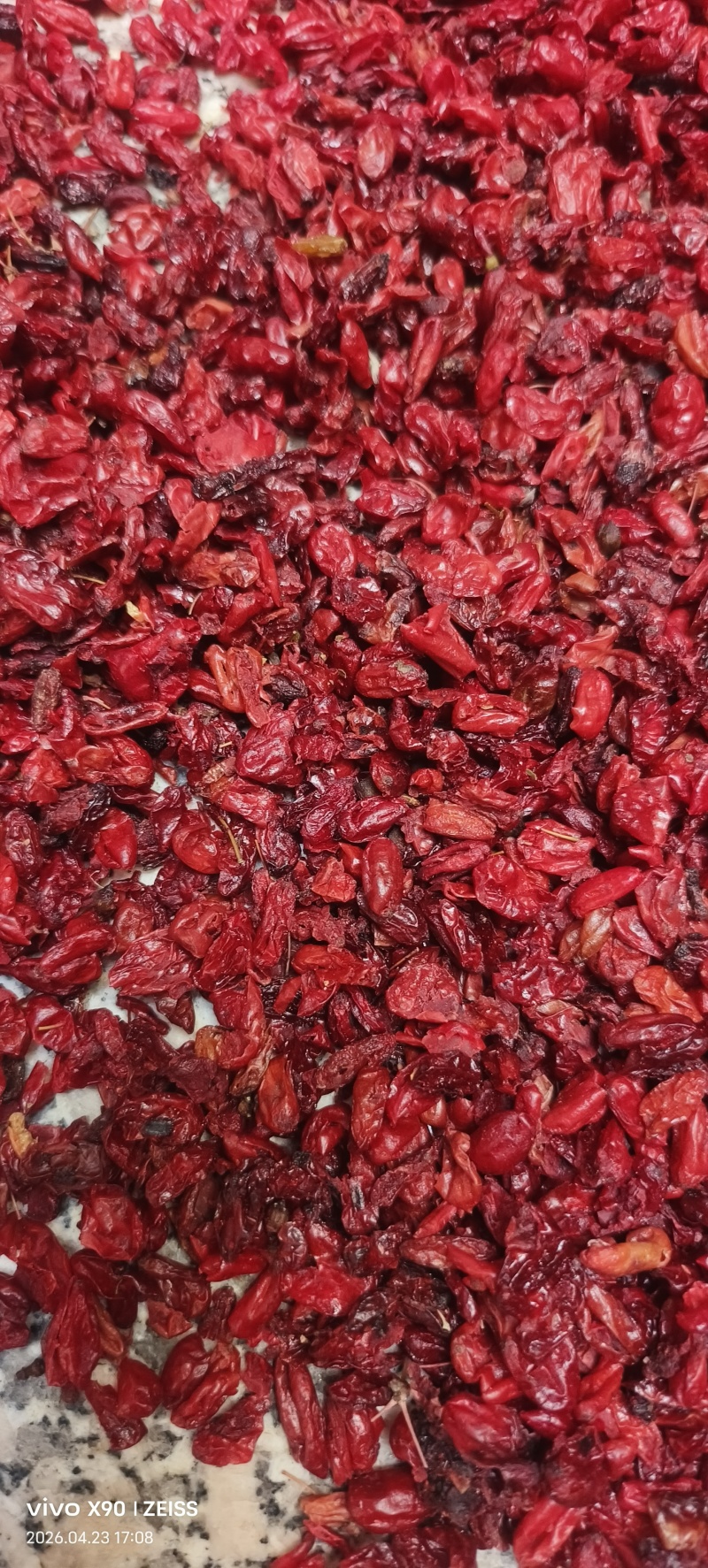 河南山茱萸