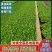 奶油生菜苗/云南昆明基地直发/货源充足/关迎采购