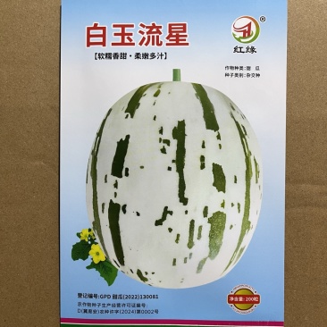 白玉流星甜瓜品种糖度高，薄皮，品种种子