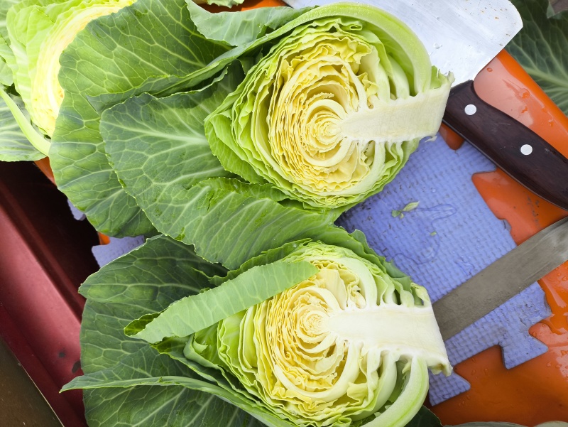 精品小包菜