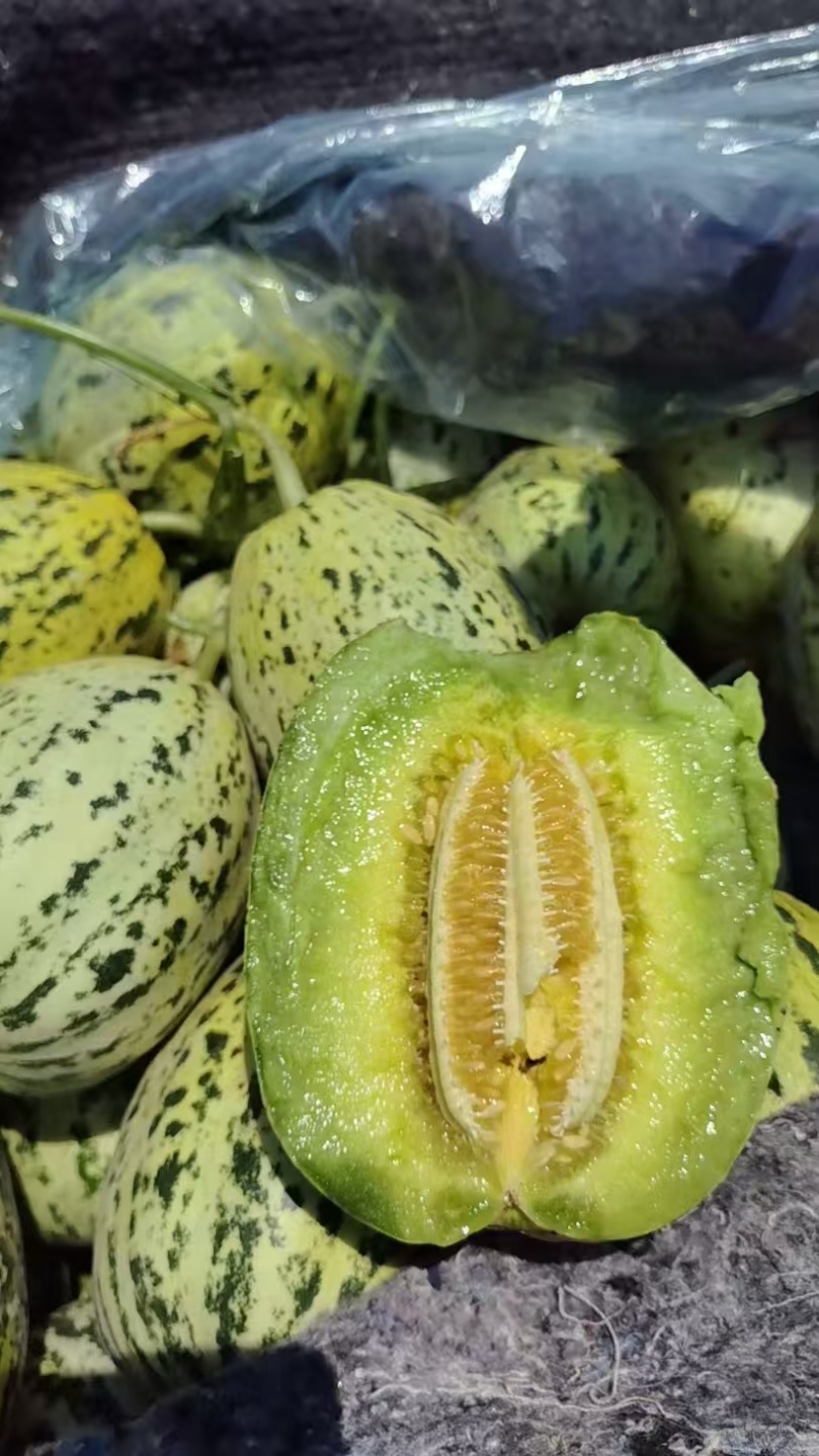 山东精品花蕾甜瓜产地直发品质保证对接商超欢迎联系