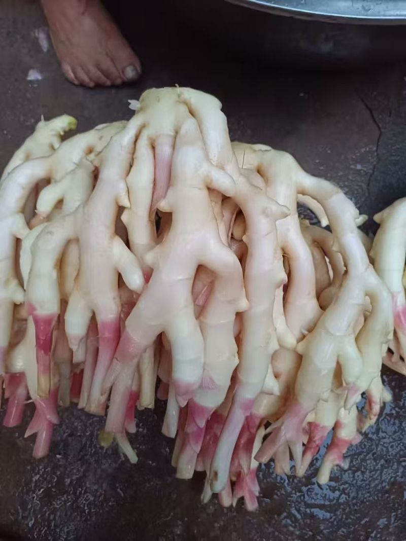 全州县石塘镇