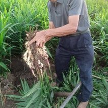 全州县石塘镇