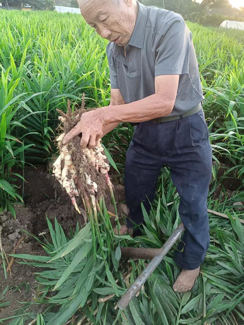 全州县石塘镇
