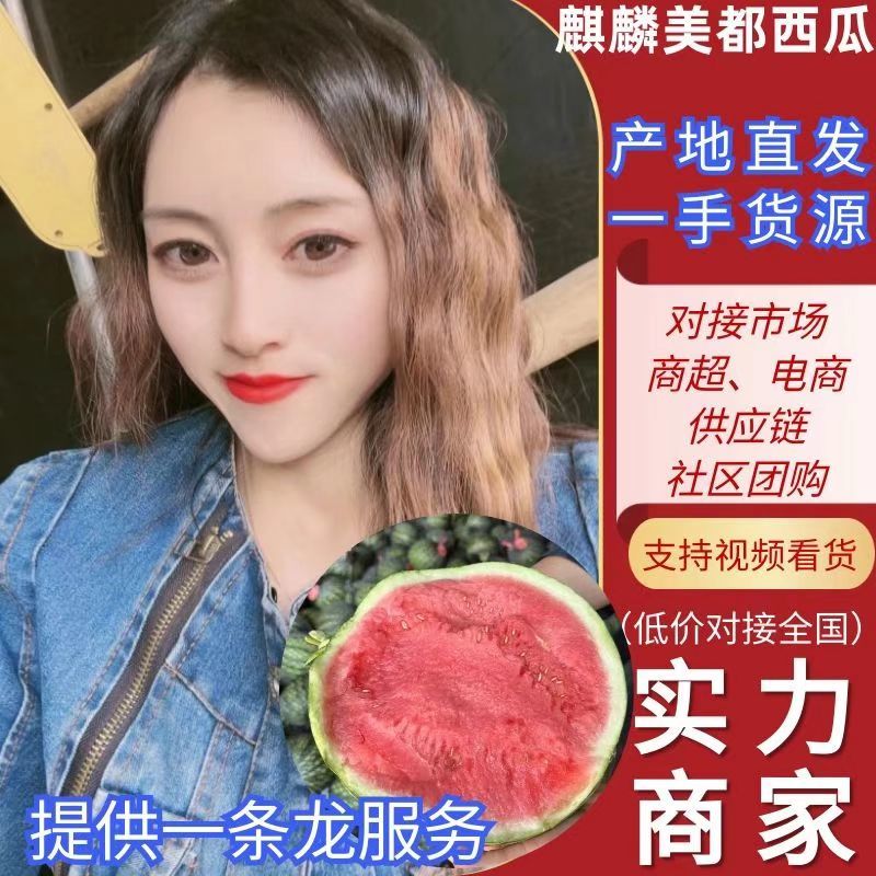 热卖夏邑麒麟西瓜对接市场商超团购供应链一条龙服务诚信合作