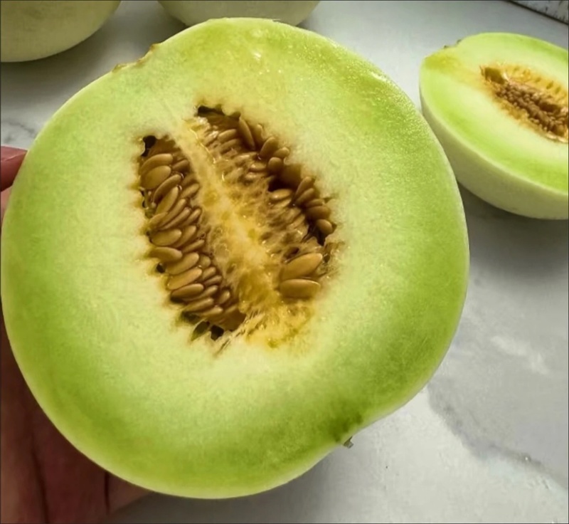 玉菇甜瓜电商一件代发~产地直发