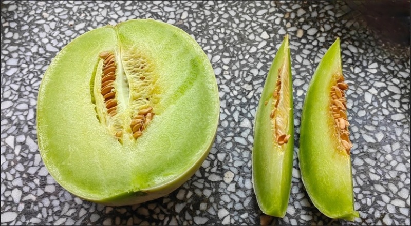 玉菇甜瓜电商一件代发~产地直发