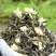 茉莉花茶小白芽